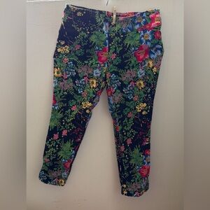Soft Surroundings Floral Print Jeggings in Navy with Green and Pink Accents